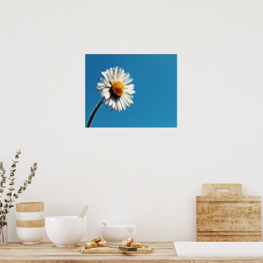 Een heldere Witte Daisy onder een Big Blue Sky Poster (Keuken)