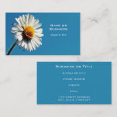 Een heldere Witte Daisy onder een Big Blue Sky Visitekaartje (Voorkant / Achterkant)