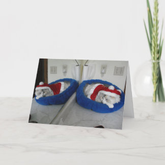 Een hele knuffelige kerst feestdagen kaart