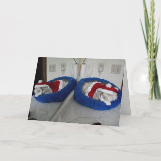 Een hele knuffelige kerst feestdagen kaart (Voorkant)