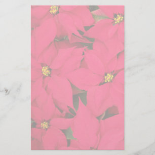 Een heleboel heldergekleurde kerst-Poinsettias Briefpapier
