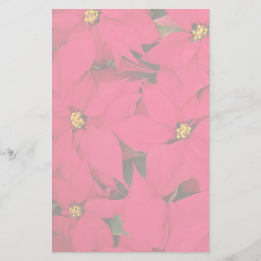 Een heleboel heldergekleurde kerst-Poinsettias Briefpapier (Voorkant)