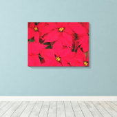 Een heleboel heldergekleurde kerst-Poinsettias Canvas Afdruk (Insitu (Houten vloer))