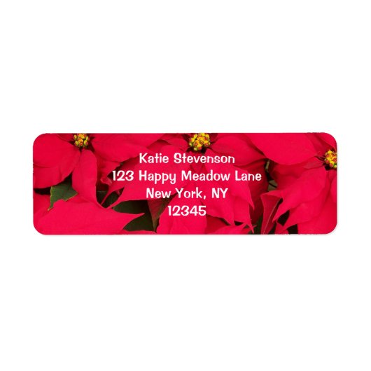 Een heleboel heldergekleurde kerst-Poinsettias Etiket (Voorkant)