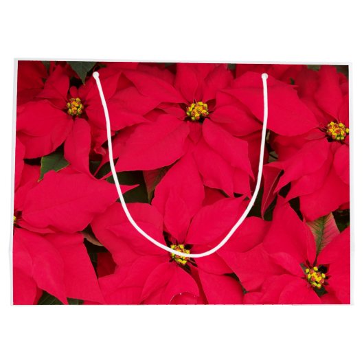 Een heleboel heldergekleurde kerst-Poinsettias Groot Cadeauzakje (Achterkant)