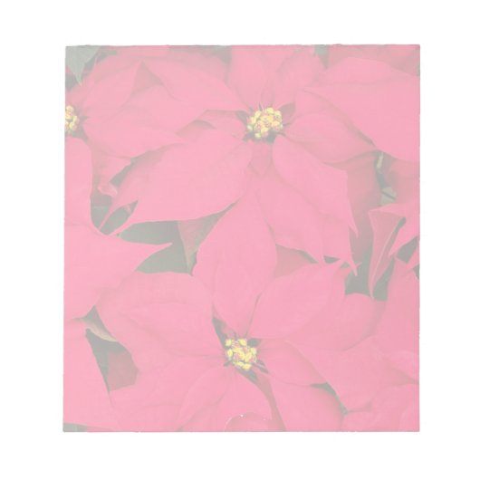 Een heleboel heldergekleurde kerst-Poinsettias Notitieblok (Voorkant)