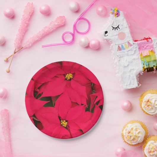 Een heleboel heldergekleurde kerst-Poinsettias Papieren Bordje (Feest)