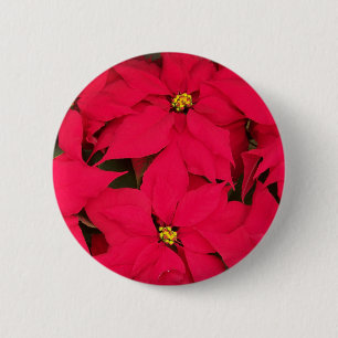 Een heleboel heldergekleurde kerst-Poinsettias Ronde Button 5,7 Cm