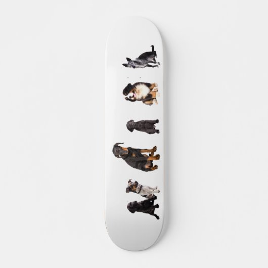 een heleboel honden skateboard (Voorkant)