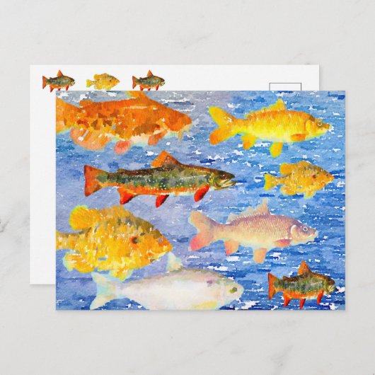 Een heleboel vis in het Zee Briefkaart (Voorkant / Achterkant)