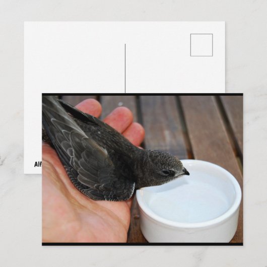 Een Helpende Hand Briefkaart (Voorkant / Achterkant)