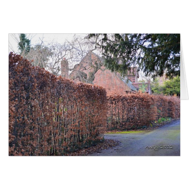 Een herfst dag (Voorkant Horizontaal)