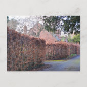 Een herfst dag briefkaart (Voorkant)