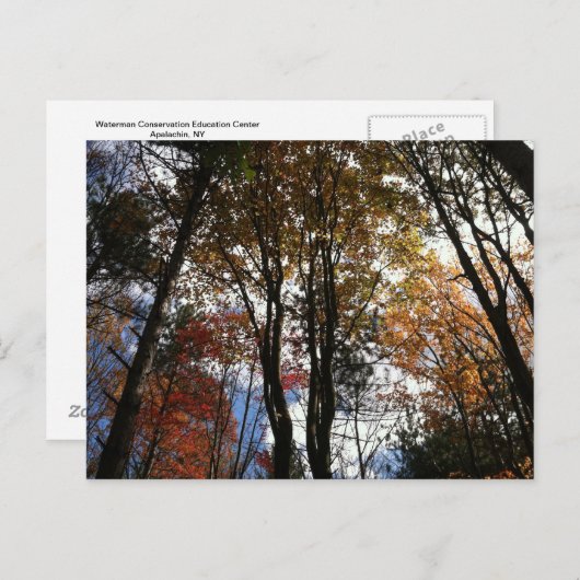 Een herfst in New York Briefkaart (Voorkant / Achterkant)