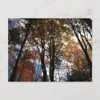 Een herfst in New York Briefkaart