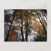 Een herfst in New York Briefkaart (Voorkant)