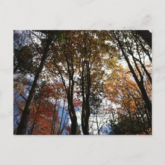 Een herfst in New York Briefkaart (Voorkant)