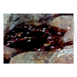 Een herfst lekt in een poolkaart