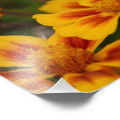 Een herfstmiddag in de tuin. foto afdruk (Hoek)