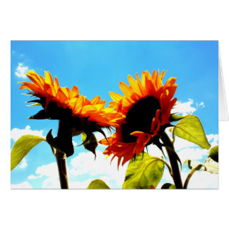 Een herinnering aan ons