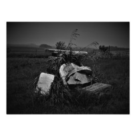 "Een herstelbare verzameling" Foto Afdruk