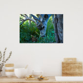 Een hert grazen 1 poster (Keuken)