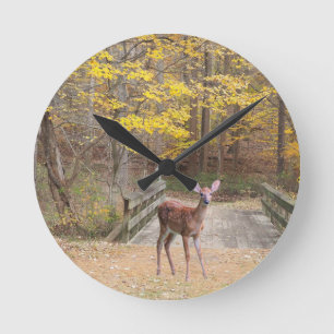 Een hert in het park ronde klok