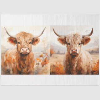 Een Highland Koe Design Collectie 3 Tissuepapier