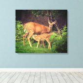 Een hinde en haar fawn canvas afdruk (Insitu (Houten vloer))