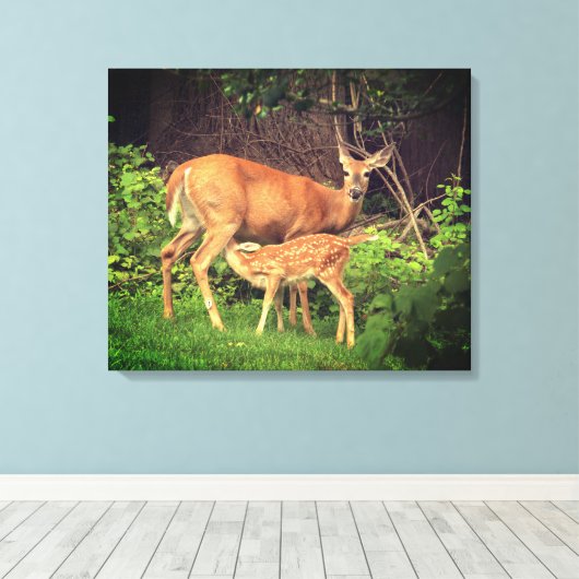 Een hinde en haar fawn canvas afdruk (Insitu (Houten vloer))