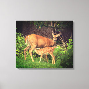 Een hinde en haar fawn canvas afdruk
