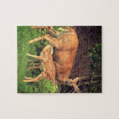 Een hinde en haar fawn legpuzzel (Horizontaal)