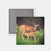 Een hinde en haar fawn magneet (Voorkant / Achterkant)