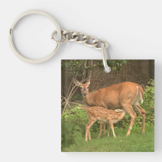 Een hinde en haar fawn sleutelhanger (voorkant)