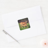 Een hinde en haar fawn vierkante sticker (Envelop)