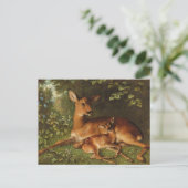 Een hinde met Fawn | Carl Schweninger, Jr. Briefkaart (Staand voorkant)