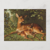 Een hinde met Fawn | Carl Schweninger, Jr. Briefkaart (Voorkant)