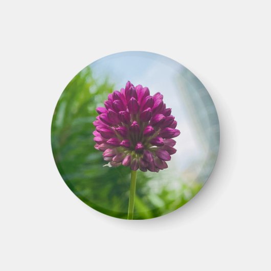 Een hint van een "Dark Pink Floral" magneet (Voorkant)