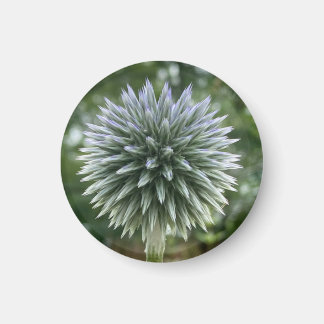 Een hint van een "Green Fireworks Floral" magneet