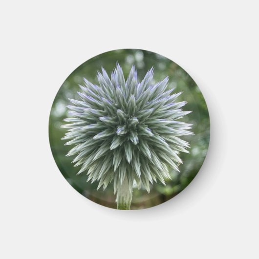 Een hint van een "Green Fireworks Floral" magneet (Voorkant)