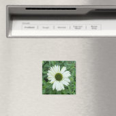 Een hint van een "White and Green Daisy" magneet (Insitu (Vaatwasser))
