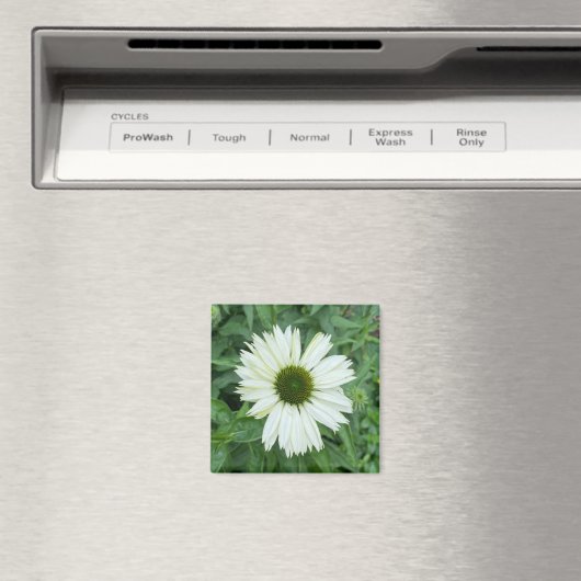 Een hint van een "White and Green Daisy" magneet (Insitu (Vaatwasser))