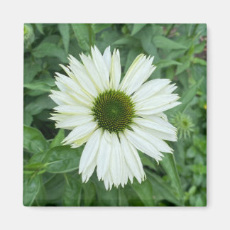 Een hint van een "White and Green Daisy" magneet