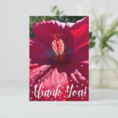 Een hint van Z "Dank u"-kaart Bedankkaart (Staand voorkant)