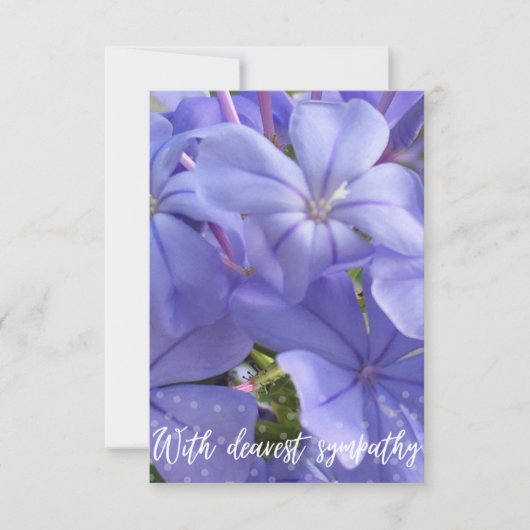 Een hint van Z "Met liefste sympathie" kaart (Voorkant)