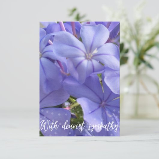 Een hint van Z "Met liefste sympathie" kaart (Staand voorkant)