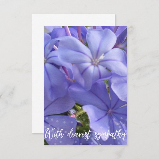 Een hint van Z "Met liefste sympathie" kaart (Voorkant / Achterkant)