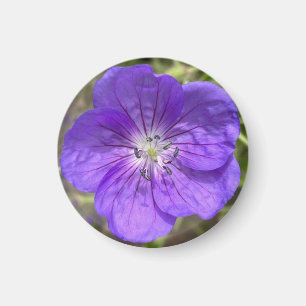 Een hint van Z "Paarse Bloemen" magneet