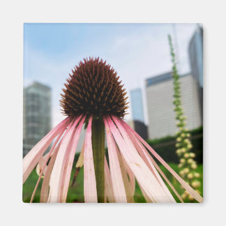 Een hint van Z "Pink and White Floral" magneet