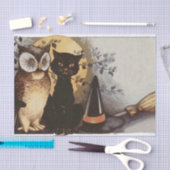 Een hol, een kat en een Pet, Oh, mijn! Tissuepapier (Craft)